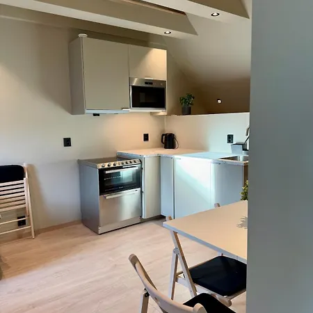 Divine Apartmentnt Apartment Bergen